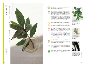 料理に役立つハーブ図鑑(見本)