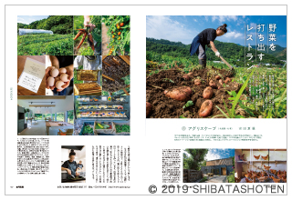 月刊専門料理(見本)