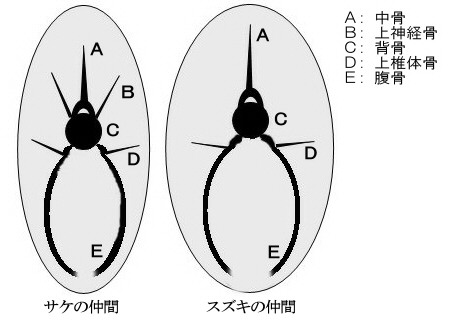 編集部だより 料理本のソムリエ Vol ２３