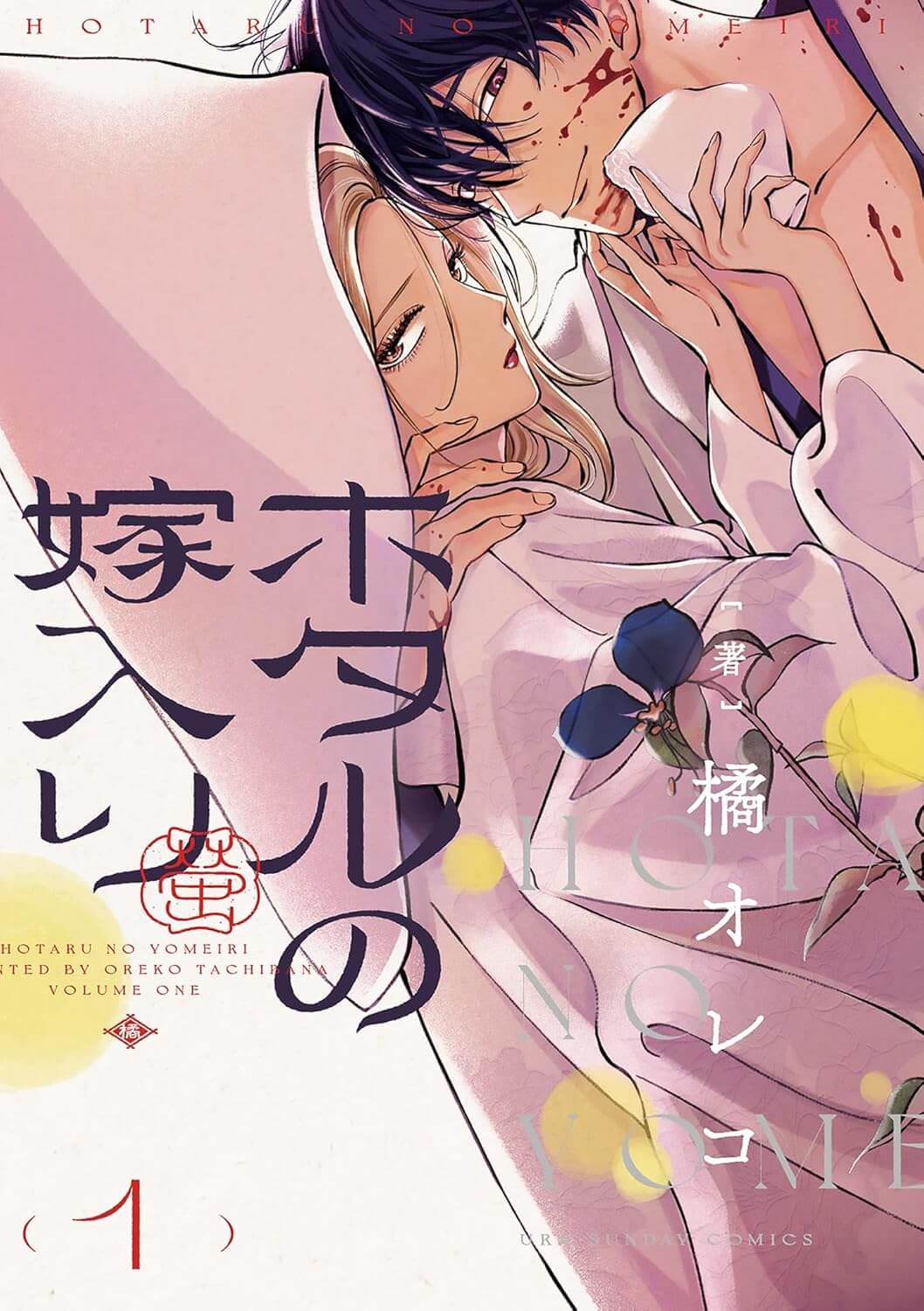 ホタルの嫁入りの表紙画像
