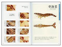 魚のおろし方（見本）