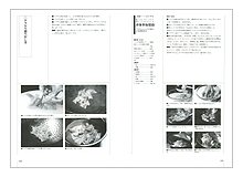 プロのためのわかりやすい中国料理（見本）