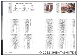 おいしさをデザインする（見本）