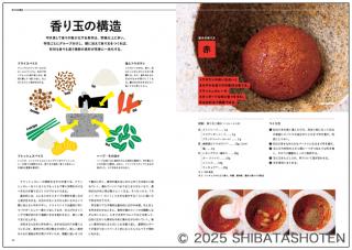 クラッシュカレー（見本）