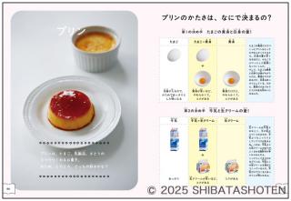 おいしい！がわかる 小学生からのお菓子の科学（見本）