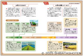 お米はすごい！（見本）