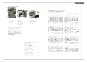 飲食店の店舗設計（見本）