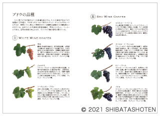 日本ワインの教科書（見本）
