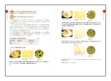 科学でわかるお菓子の「なぜ？」（見本）