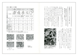 お菓子「こつ」の科学（見本）