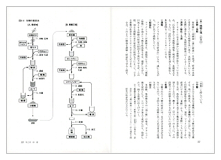 お菓子「こつ」の科学（見本）