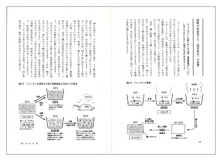 お菓子「こつ」の科学（見本）