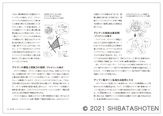 パンづくりのメカニズムとアルゴリズム（見本）