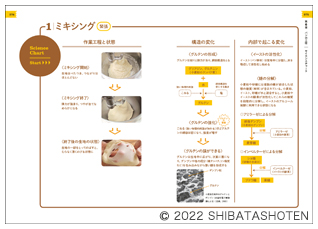 科学でわかるパンの「なぜ？」（見本）