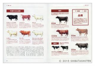 肉料理専門書（見本）