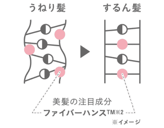 ファイバーハンスの説明画像