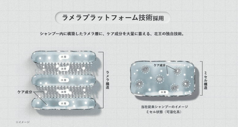 ラメラ層の画像