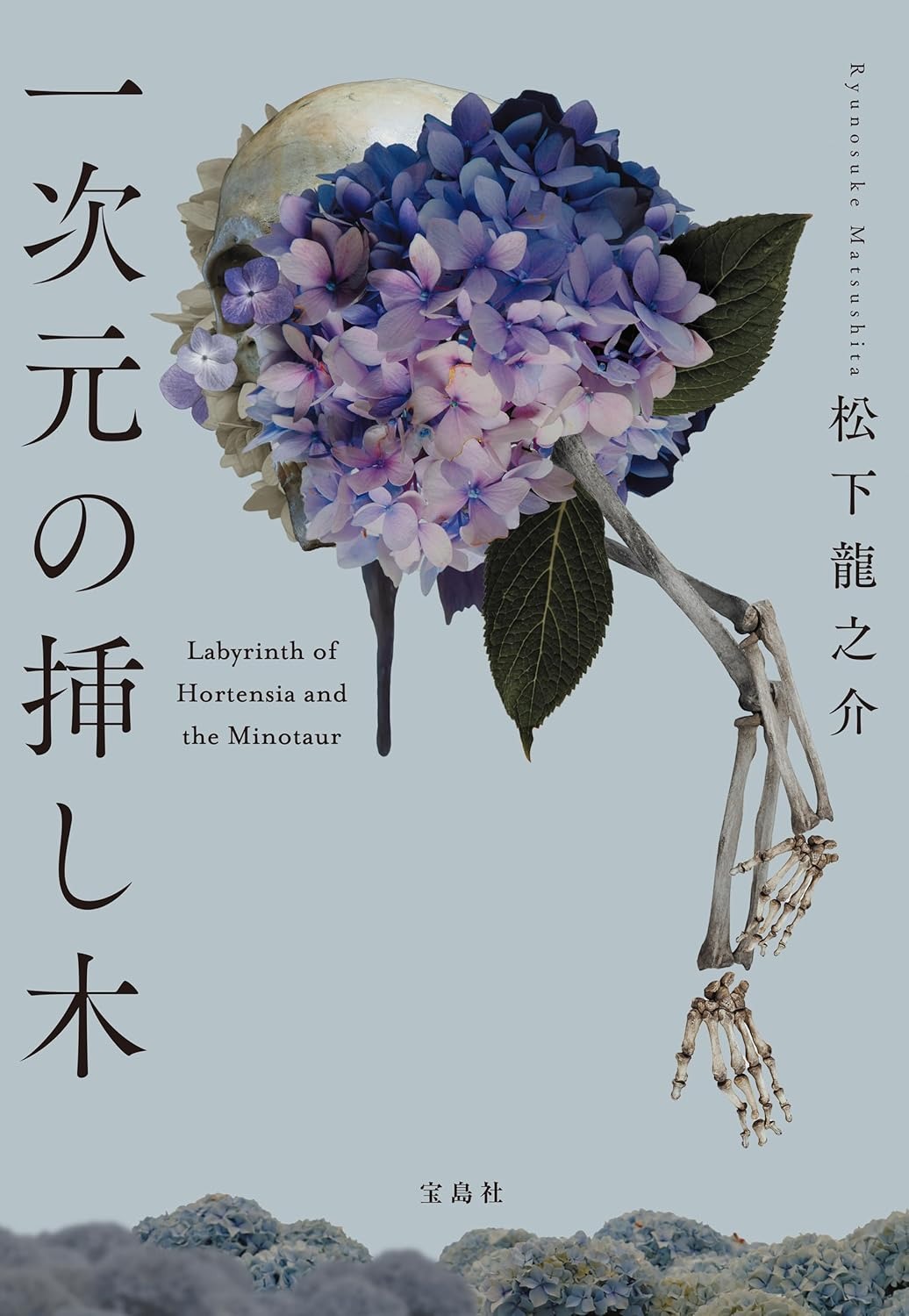 一次元の挿し木の表紙画像