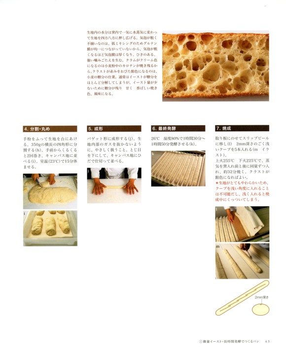 酵母から考えるパンづくり 酵母から考えるパンづくり